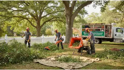 Professional shrub removal service in Bellevue, WA clearing overgrown bushes for a clean landscape